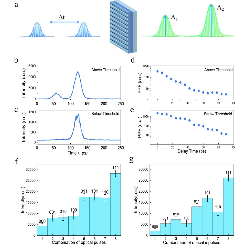 Figure 3 from the paper showing temporal response, paired-pulse facilitation, and sequence sensitivity