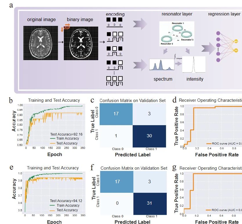 Figure 4 from the paper showing the MRI classification setup and metrics